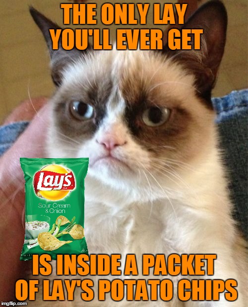 Yodel-Lay, Yodel-Lay, Yodel-Lay-Hee-Hoo! ≧◠‿◠≦ | THE ONLY LAY YOU'LL EVER GET; IS INSIDE A PACKET OF LAY'S POTATO CHIPS | image tagged in memes,grumpy cat,grumpy cat insults,snacks,potato chips,comfort | made w/ Imgflip meme maker