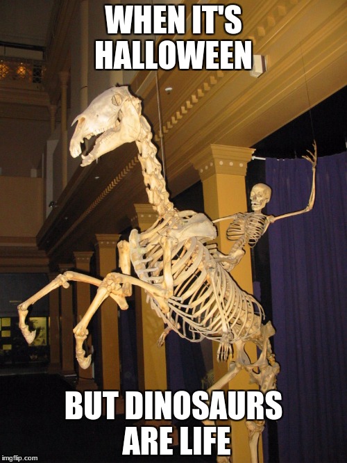 Spook Rider | WHEN IT'S HALLOWEEN; BUT DINOSAURS ARE LIFE | image tagged in spook rider | made w/ Imgflip meme maker