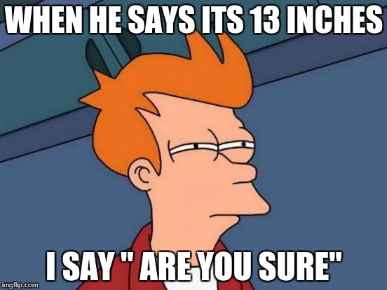 Futurama Fry Meme | WHEN HE SAYS ITS 13 INCHES; I SAY " ARE YOU SURE" | image tagged in memes,futurama fry | made w/ Imgflip meme maker