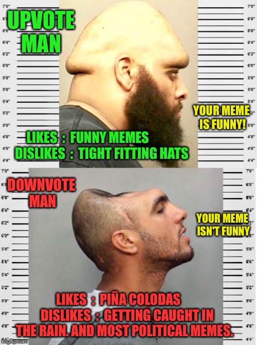 Here's How It Works, New Users. | UPVOTE MAN; YOUR MEME IS FUNNY! LIKES  :  FUNNY MEMES           DISLIKES  :  TIGHT FITTING HATS; DOWNVOTE MAN; YOUR MEME ISN'T FUNNY; LIKES  :  PIÑA COLODAS
      DISLIKES  :  GETTING CAUGHT IN THE RAIN. AND MOST POLITICAL MEMES. | image tagged in upvote,upvotes,downvote,downvotes,imgflip,imgflip users | made w/ Imgflip meme maker