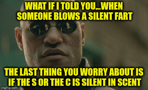 Fart Scent | WHAT IF I TOLD YOU...WHEN SOMEONE BLOWS A SILENT FART; THE LAST THING YOU WORRY ABOUT IS IF THE S OR THE C IS SILENT IN SCENT | image tagged in memes,matrix morpheus,fart | made w/ Imgflip meme maker