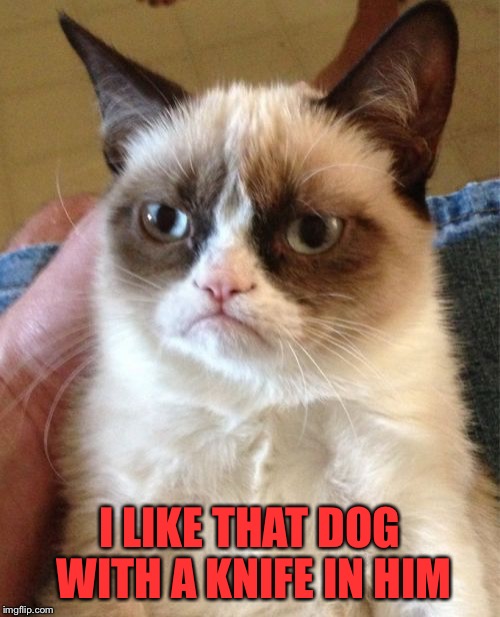 Grumpy Cat Meme | I LIKE THAT DOG WITH A KNIFE IN HIM | image tagged in memes,grumpy cat | made w/ Imgflip meme maker