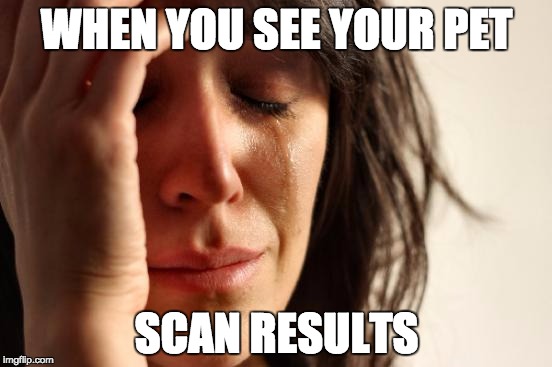PET SCAN MEME | WHEN YOU SEE YOUR PET; SCAN RESULTS | image tagged in memes,first world problems | made w/ Imgflip meme maker