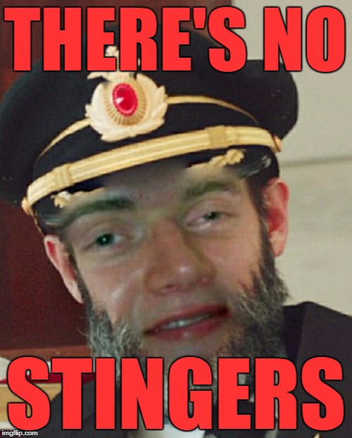 Captain Oblivious | THERE'S NO STINGERS | image tagged in captain oblivious | made w/ Imgflip meme maker