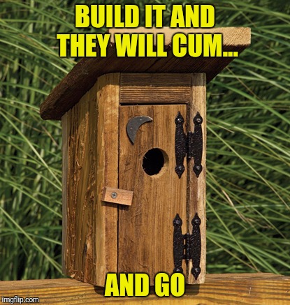 BUILD IT AND THEY WILL CUM... AND GO | made w/ Imgflip meme maker