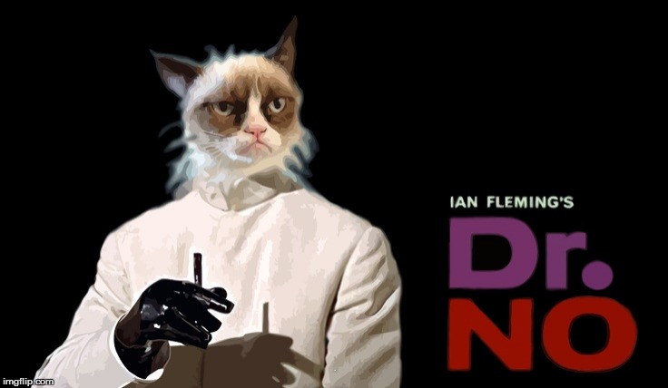 Movies week Oct 22-29 (A A SpursFanFromAround and haramisbae event) | . | image tagged in grumpy cat,james bond | made w/ Imgflip meme maker