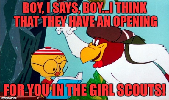 BOY, I SAYS, BOY...I THINK THAT THEY HAVE AN OPENING FOR YOU IN THE GIRL SCOUTS! | made w/ Imgflip meme maker