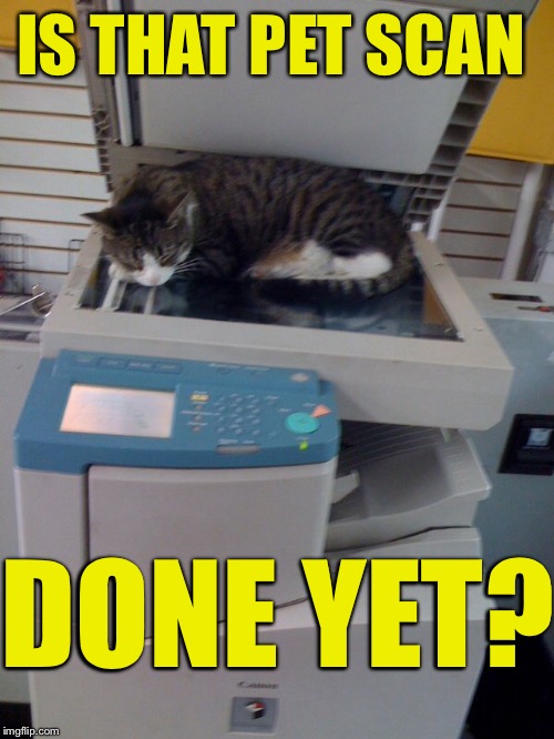 IS THAT PET SCAN DONE YET? | made w/ Imgflip meme maker