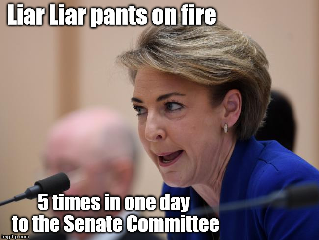 Michaelia Cash The Liar | Liar Liar pants on fire; 5 times in one day to the Senate Committee | image tagged in micheala cash,liar | made w/ Imgflip meme maker