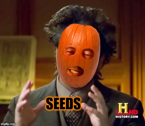 SEEDS | image tagged in ancient aliens,giorgio tsoukalos,pumpkin,halloween,happy halloween | made w/ Imgflip meme maker
