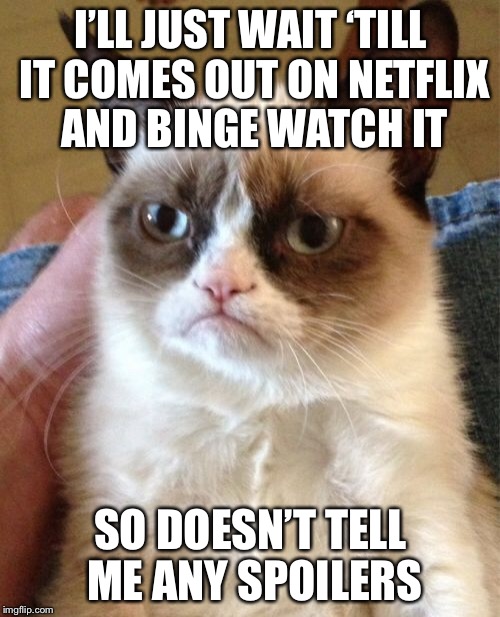 Grumpy Cat Meme | I’LL JUST WAIT ‘TILL IT COMES OUT ON NETFLIX AND BINGE WATCH IT SO DOESN’T TELL ME ANY SPOILERS | image tagged in memes,grumpy cat | made w/ Imgflip meme maker