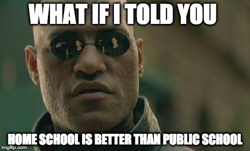 Matrix Morpheus Meme | WHAT IF I TOLD YOU; HOME SCHOOL IS BETTER THAN PUBLIC SCHOOL | image tagged in memes,matrix morpheus | made w/ Imgflip meme maker