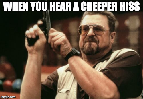 Am I The Only One Around Here | WHEN YOU HEAR A CREEPER HISS | image tagged in memes,am i the only one around here | made w/ Imgflip meme maker