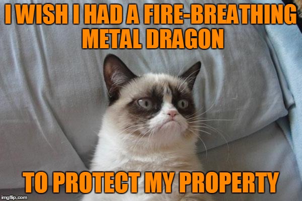 I WISH I HAD A FIRE-BREATHING METAL DRAGON TO PROTECT MY PROPERTY | made w/ Imgflip meme maker