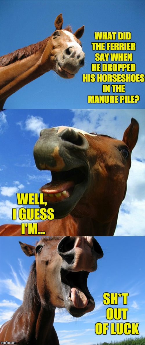 Just Horsing Around | WHAT DID THE FERRIER SAY WHEN HE DROPPED HIS HORSESHOES IN THE MANURE PILE? WELL, I GUESS I'M... SH*T OUT OF LUCK | image tagged in just horsing around,memes,funny,bad pun | made w/ Imgflip meme maker