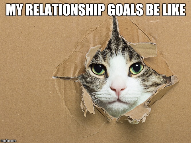 MY RELATIONSHIP GOALS BE LIKE | image tagged in relationship goals | made w/ Imgflip meme maker