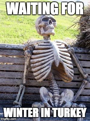Waiting Skeleton | WAITING FOR; WINTER IN TURKEY | image tagged in memes,waiting skeleton | made w/ Imgflip meme maker