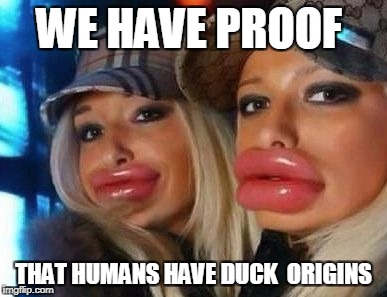 Duck Face Chicks Meme | WE HAVE PROOF; THAT HUMANS HAVE DUCK  ORIGINS | image tagged in memes,duck face chicks | made w/ Imgflip meme maker