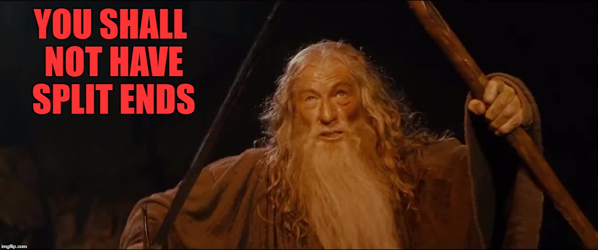 YOU SHALL NOT HAVE SPLIT ENDS | made w/ Imgflip meme maker