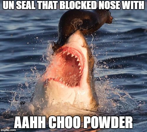 Travelonshark | UN SEAL THAT BLOCKED NOSE WITH; AAHH CHOO POWDER | image tagged in memes,travelonshark | made w/ Imgflip meme maker