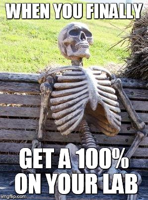 Waiting Skeleton Meme | WHEN YOU FINALLY; GET A 100% ON YOUR LAB | image tagged in memes,waiting skeleton | made w/ Imgflip meme maker