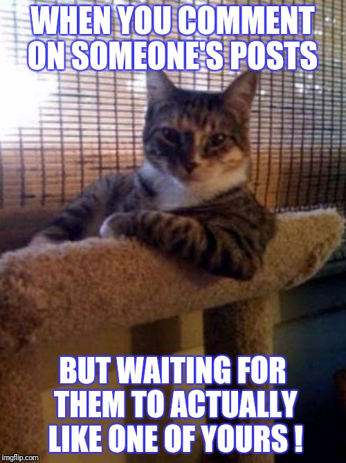 The Most Interesting Cat In The World | WHEN YOU COMMENT ON SOMEONE'S POSTS; BUT WAITING FOR THEM TO ACTUALLY LIKE ONE OF YOURS ! | image tagged in memes,the most interesting cat in the world | made w/ Imgflip meme maker