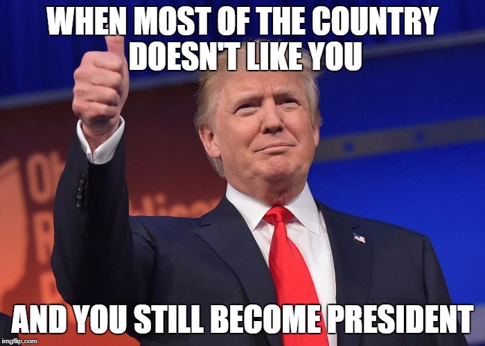 donald trump | WHEN MOST OF THE COUNTRY DOESN'T LIKE YOU; AND YOU STILL BECOME PRESIDENT | image tagged in donald trump | made w/ Imgflip meme maker