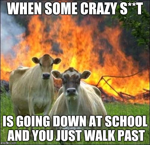 Evil Cows Meme | WHEN SOME CRAZY S**T; IS GOING DOWN AT SCHOOL AND YOU JUST WALK PAST | image tagged in memes,evil cows | made w/ Imgflip meme maker