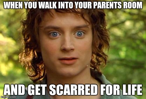 Surpised Frodo | WHEN YOU WALK INTO YOUR PARENTS ROOM; AND GET SCARRED FOR LIFE | image tagged in memes,surpised frodo | made w/ Imgflip meme maker