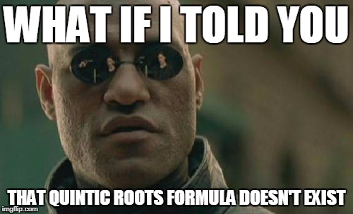 Matrix Morpheus Meme | WHAT IF I TOLD YOU; THAT QUINTIC ROOTS FORMULA DOESN'T EXIST | image tagged in memes,matrix morpheus | made w/ Imgflip meme maker