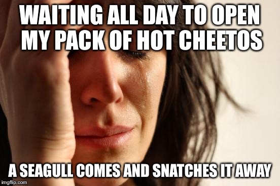 First World Problems | WAITING ALL DAY TO OPEN MY PACK OF HOT CHEETOS; A SEAGULL COMES AND SNATCHES IT AWAY | image tagged in memes,first world problems | made w/ Imgflip meme maker