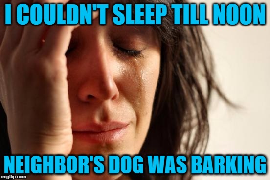 Welcome to "FIRST-WORLD" problems | I COULDN'T SLEEP TILL NOON; NEIGHBOR'S DOG WAS BARKING | image tagged in memes,first world problems | made w/ Imgflip meme maker