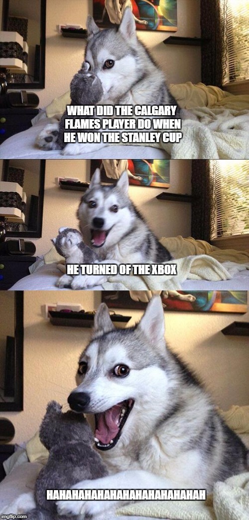 Bad Pun Dog Meme | WHAT DID THE CALGARY FLAMES PLAYER DO WHEN HE WON THE STANLEY CUP; HE TURNED OF THE XBOX; HAHAHAHAHAHAHAHAHAHAHAHAH | image tagged in memes,bad pun dog | made w/ Imgflip meme maker