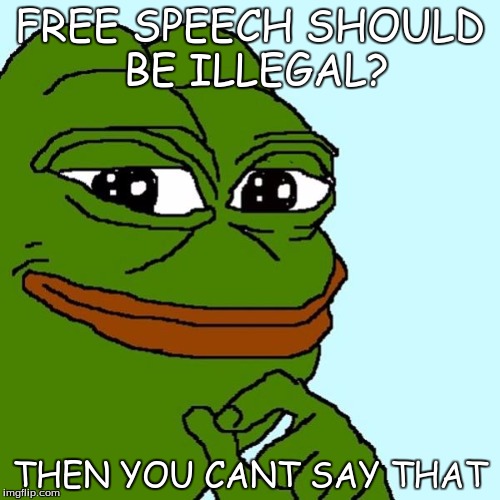 liberal intelligence | FREE SPEECH SHOULD BE ILLEGAL? THEN YOU CANT SAY THAT | image tagged in pepe | made w/ Imgflip meme maker