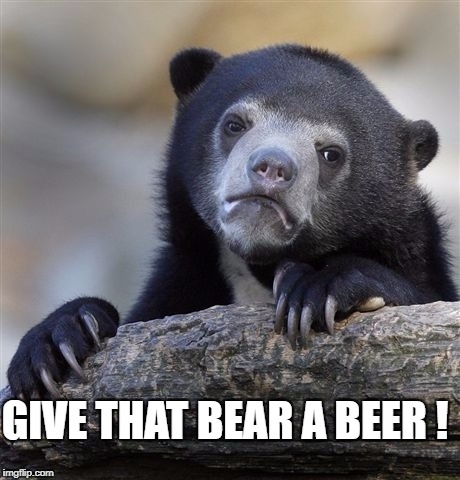 Confession Bear Meme | GIVE THAT BEAR A BEER ! | image tagged in memes,confession bear | made w/ Imgflip meme maker