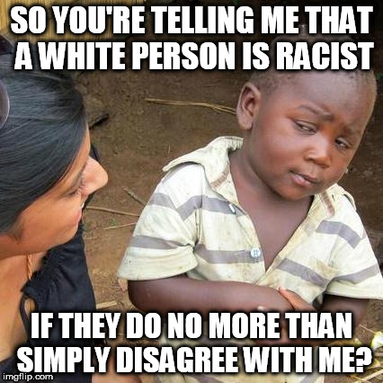 Third World Skeptical Kid Meme | SO YOU'RE TELLING ME THAT A WHITE PERSON IS RACIST; IF THEY DO NO MORE THAN SIMPLY DISAGREE WITH ME? | image tagged in memes,third world skeptical kid | made w/ Imgflip meme maker