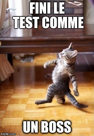 Cool Cat Stroll Meme | FINI LE TEST COMME; UN
BOSS | image tagged in memes,cool cat stroll | made w/ Imgflip meme maker