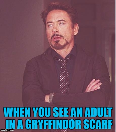 It wasn't even that cold... | WHEN YOU SEE AN ADULT IN A GRYFFINDOR SCARF | image tagged in memes,face you make robert downey jr,harry potter,gryffindor,clothes,books | made w/ Imgflip meme maker