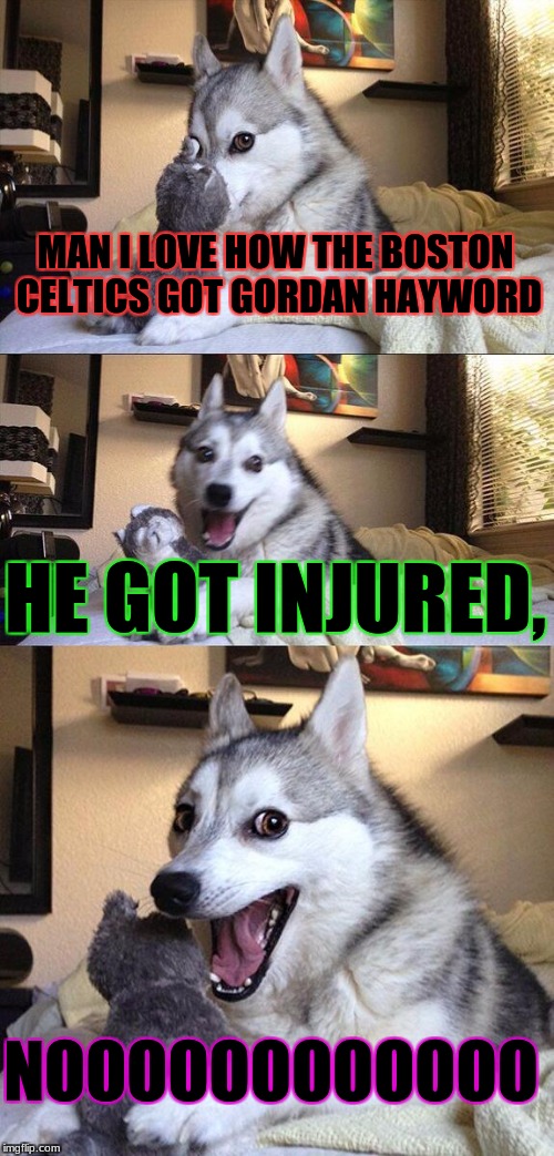 Bad Pun Dog | MAN I LOVE HOW THE BOSTON CELTICS GOT GORDAN HAYWORD; HE GOT INJURED, NOOOOOOOOOOOO | image tagged in memes,bad pun dog | made w/ Imgflip meme maker