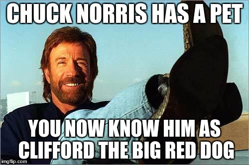Chuck Norris' Pet | CHUCK NORRIS HAS A PET; YOU NOW KNOW HIM AS CLIFFORD THE BIG RED DOG | image tagged in chuck norris says,memes,dog | made w/ Imgflip meme maker
