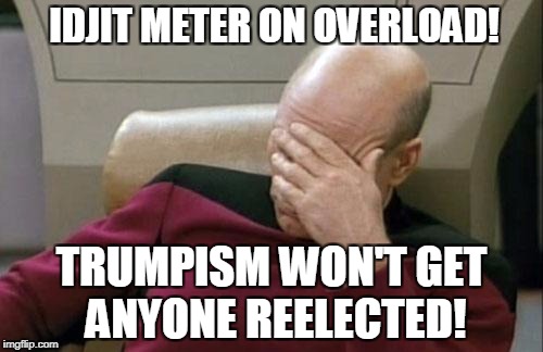 Idjit Say What? | IDJIT METER ON OVERLOAD! TRUMPISM WON'T GET ANYONE REELECTED! | image tagged in memes,captain picard facepalm,donald trump | made w/ Imgflip meme maker