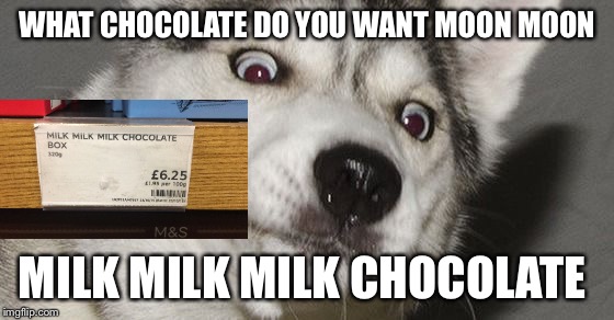 Moon Moon | WHAT CHOCOLATE DO YOU WANT MOON MOON; MILK MILK MILK CHOCOLATE | image tagged in moon moon | made w/ Imgflip meme maker