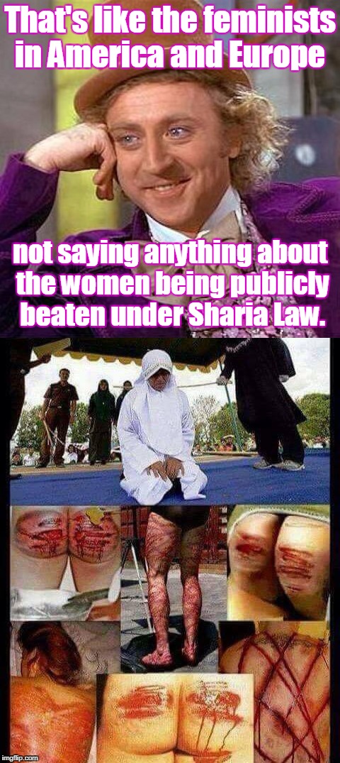 That's like the feminists in America and Europe not saying anything about the women being publicly beaten under Sharia Law. | made w/ Imgflip meme maker