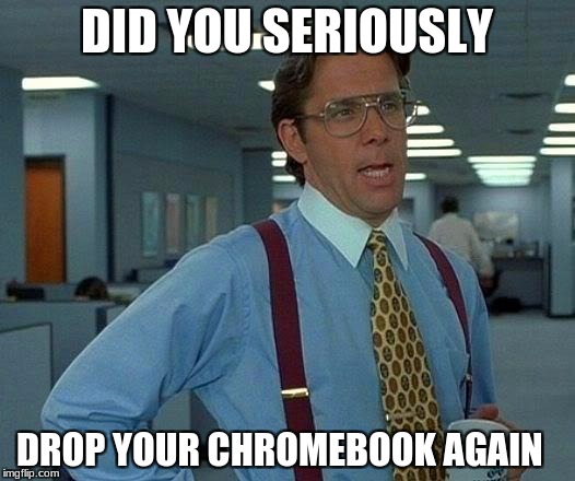 That Would Be Great Meme | DID YOU SERIOUSLY; DROP YOUR CHROMEBOOK AGAIN | image tagged in memes,that would be great | made w/ Imgflip meme maker