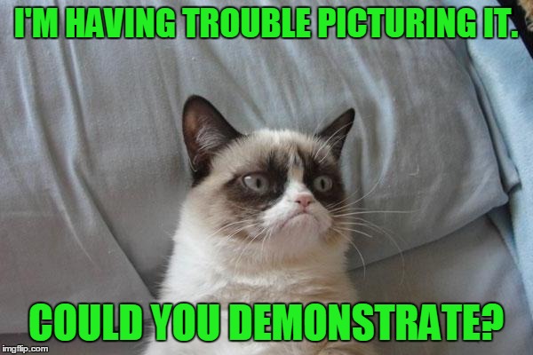 I'M HAVING TROUBLE PICTURING IT. COULD YOU DEMONSTRATE? | made w/ Imgflip meme maker