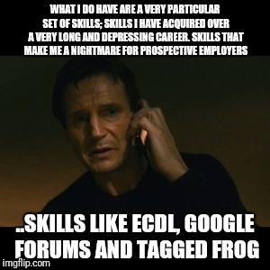 Liam Neeson Taken Meme | WHAT I DO HAVE ARE A VERY PARTICULAR SET OF SKILLS; SKILLS I HAVE ACQUIRED OVER A VERY LONG AND DEPRESSING CAREER. SKILLS THAT MAKE ME A NIGHTMARE FOR PROSPECTIVE EMPLOYERS; ..SKILLS LIKE ECDL, GOOGLE FORUMS AND TAGGED FROG | image tagged in memes,liam neeson taken | made w/ Imgflip meme maker