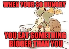 Turtle eating pizza | WHEN YOUR SO HUNGRY; YOU EAT SOMETHING BIGGER THAN YOU | image tagged in funny meme | made w/ Imgflip meme maker