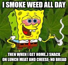 Weed | I SMOKE WEED ALL DAY; THEN WHEN I GET HOME..I SNACK ON LUNCH MEAT AND CHEESE; NO BREAD | image tagged in weed | made w/ Imgflip meme maker