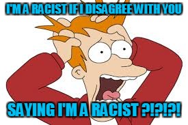 I'M A RACIST IF I DISAGREE WITH YOU SAYING I'M A RACIST ?!?!?! | made w/ Imgflip meme maker