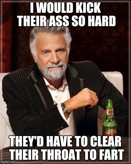 The Most Interesting Man In The World Meme | I WOULD KICK THEIR ASS SO HARD THEY'D HAVE TO CLEAR THEIR THROAT TO FART | image tagged in memes,the most interesting man in the world | made w/ Imgflip meme maker